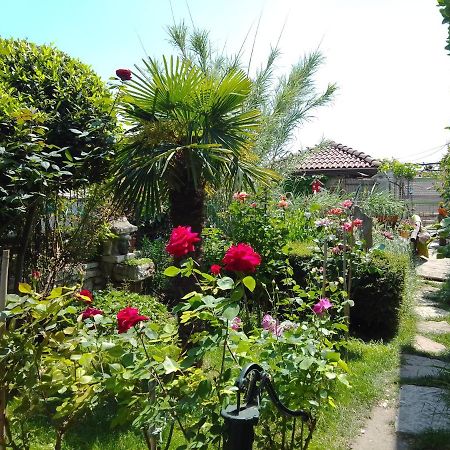 Guest House Amazonia Varna Exterior foto
